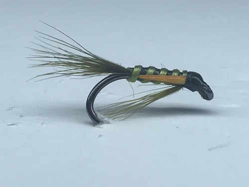 Diawl bach mosche - diawl, trota